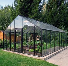 БИОНИКА Гранд